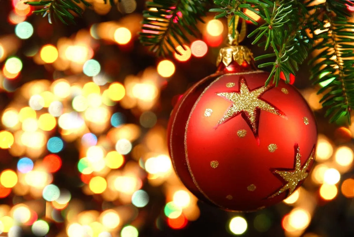 Travel Website Names Best Christmas Tree in CT, As Well as Every Other State | Stonington, CT Patch