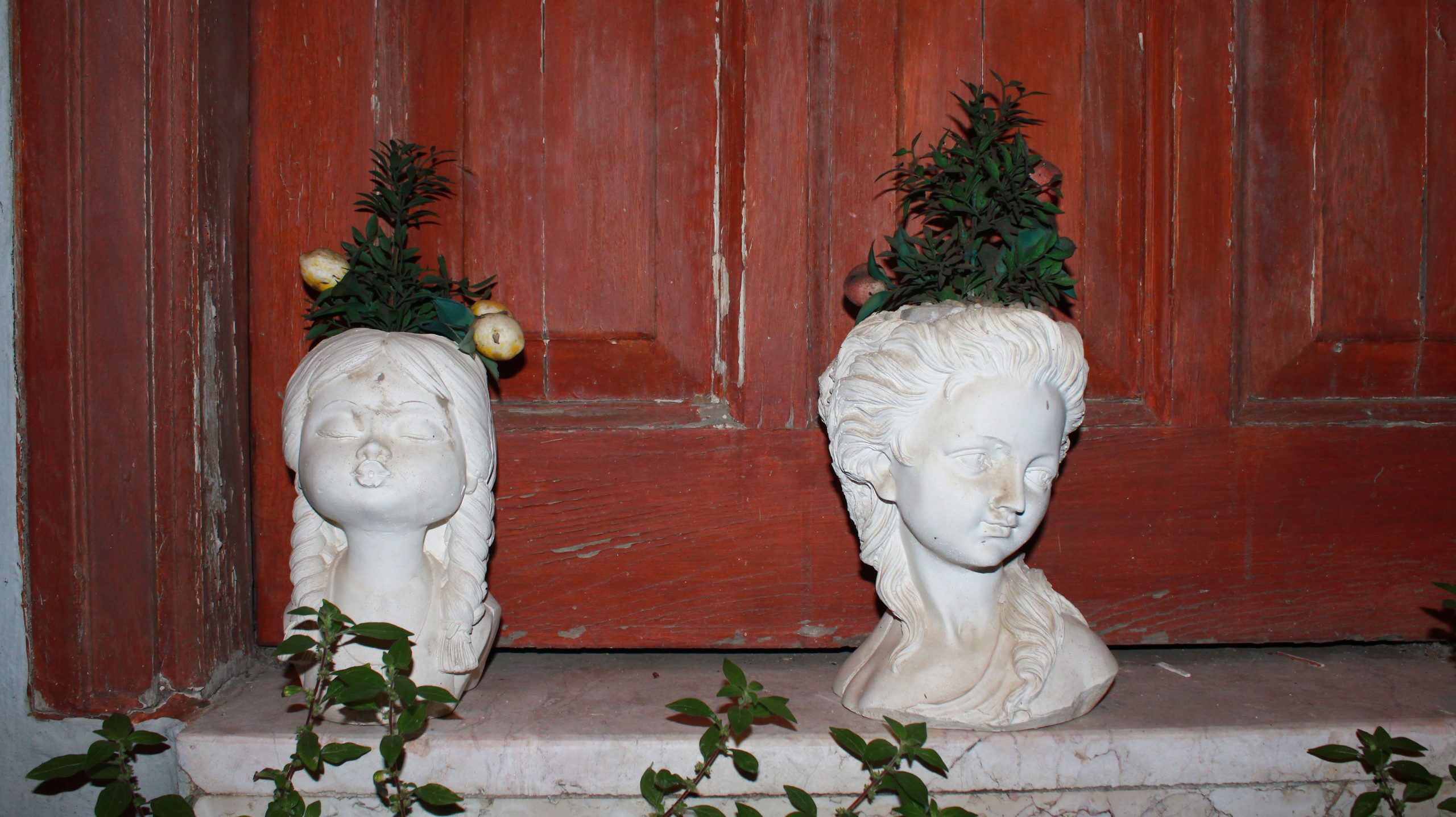 Two stone bust planters with lush greenery set against a rustic wooden door.