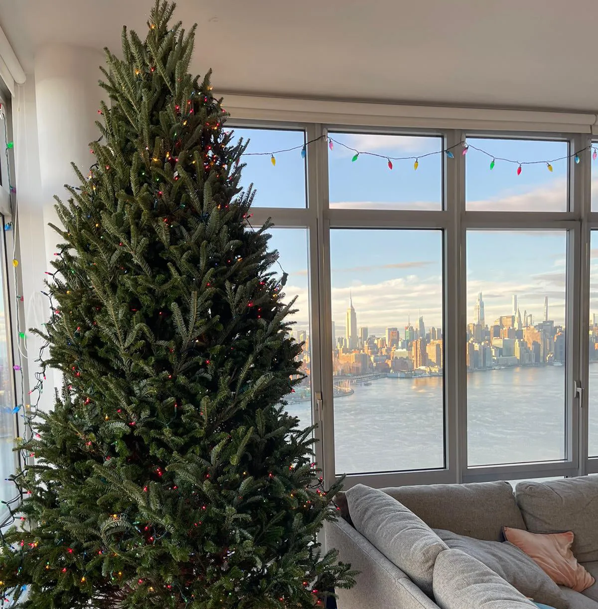 Upper East Side Christmas Trees: Neighborhood Buying & Delivery Guide – AA Christmas Trees