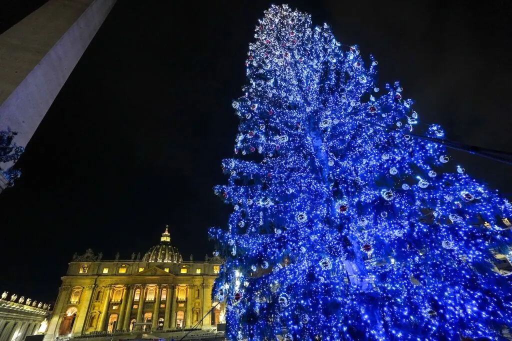 Vatican unveils Nativity scenes, light up Christmas trees in St. Peter's  Square - Biweekly Newspaper for the Diocese of Richmond %