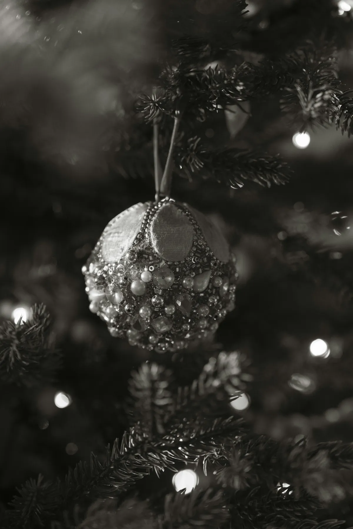 Vintage Christmas Tree Pictures | Download Free Images on Unsplash