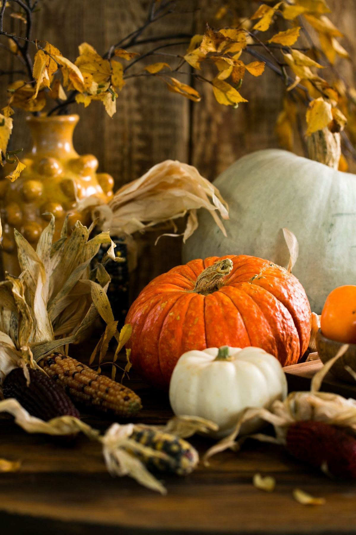 Warm and rustic still life of autumn harvest featuring pumpkins, gourds, and corn on a wooden table.