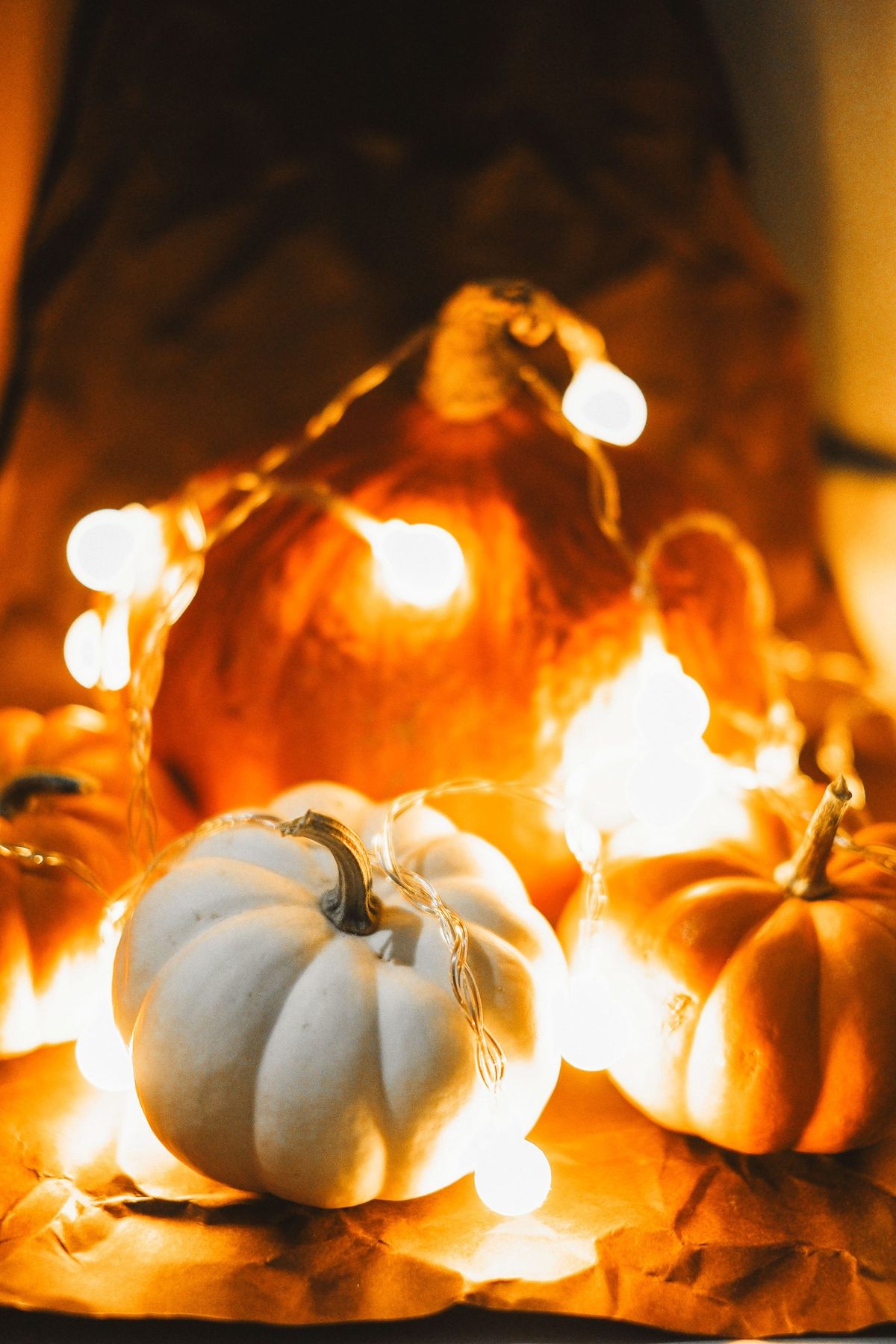 Warm autumn setup featuring pumpkins and glowing fairy lights, perfect for fall and Halloween themes.