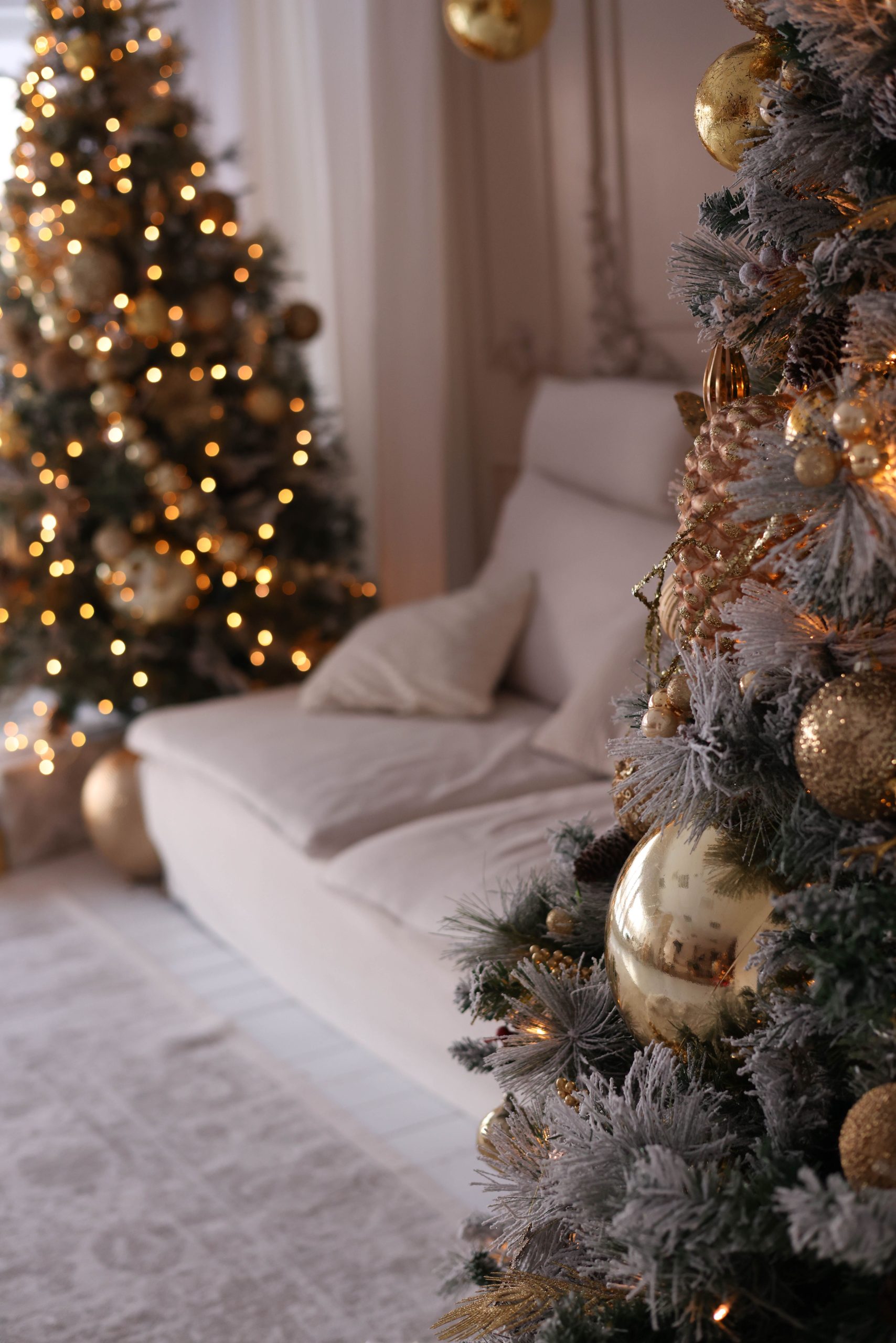 Warm, cozy living room with decorated Christmas trees softly glowing in the background.