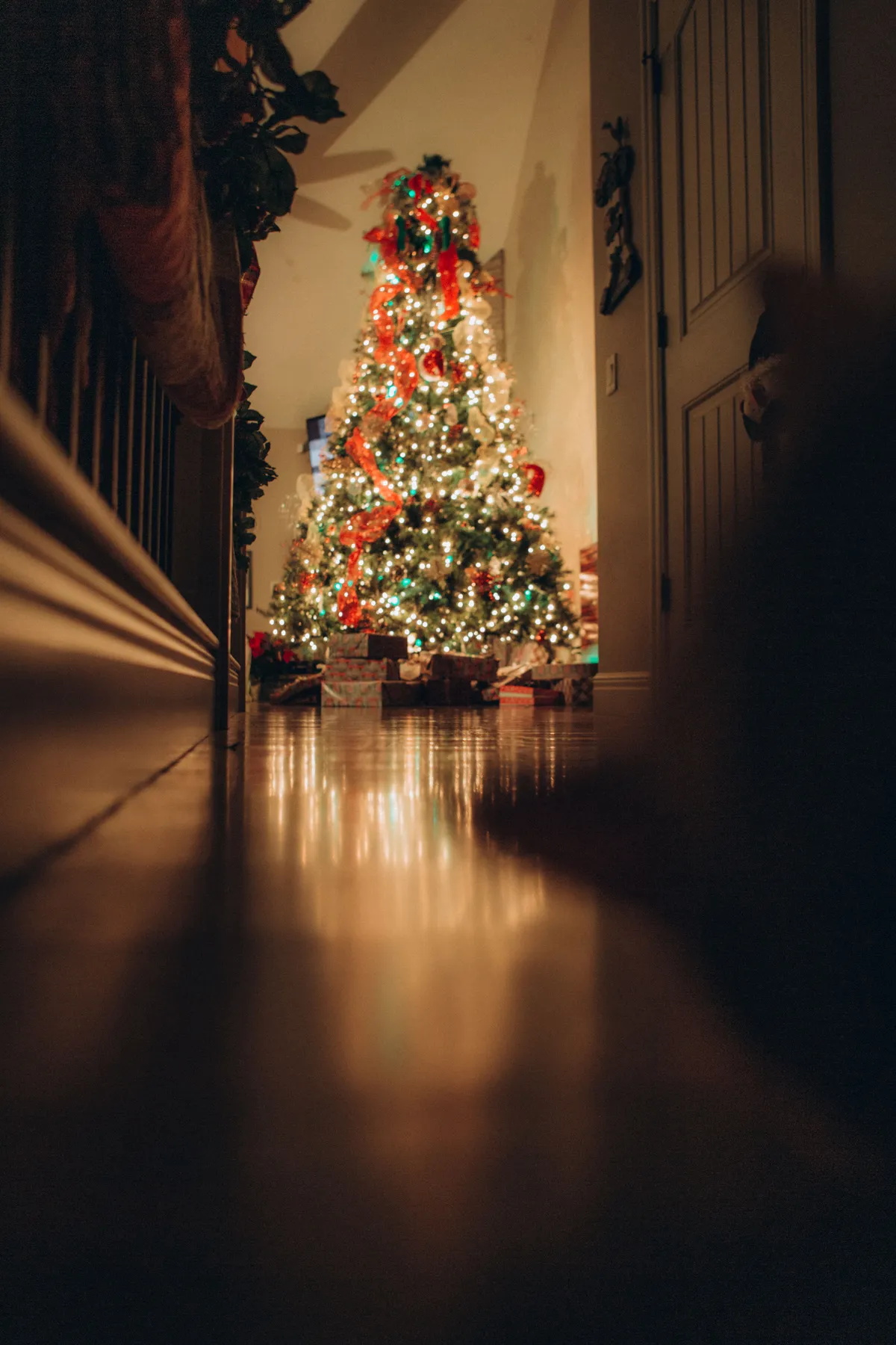 Warmly lit Christmas tree in a decorated hallway creates a cozy holiday atmosphere.