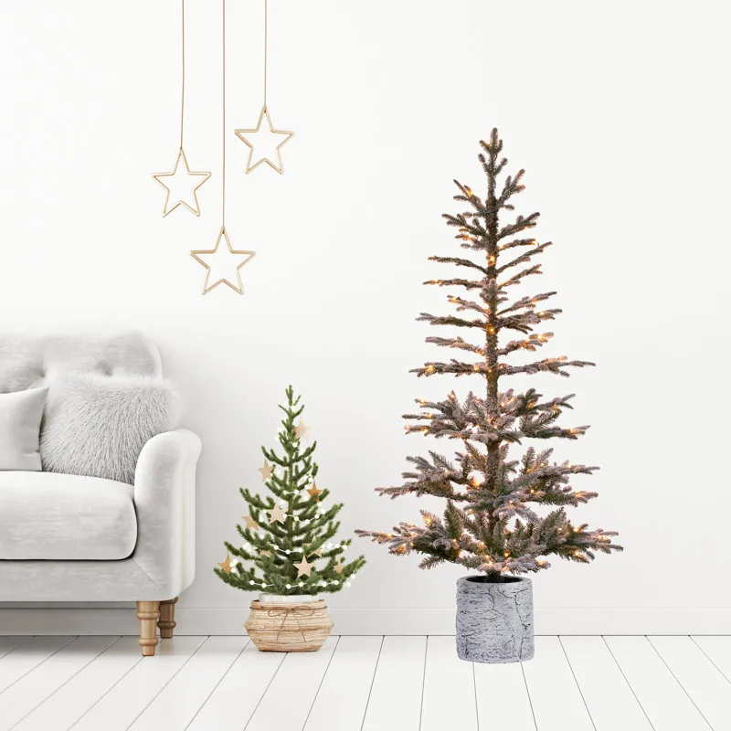 White Frosted 5' Pre-Lit Fir Christmas Tree The Holiday Aisle