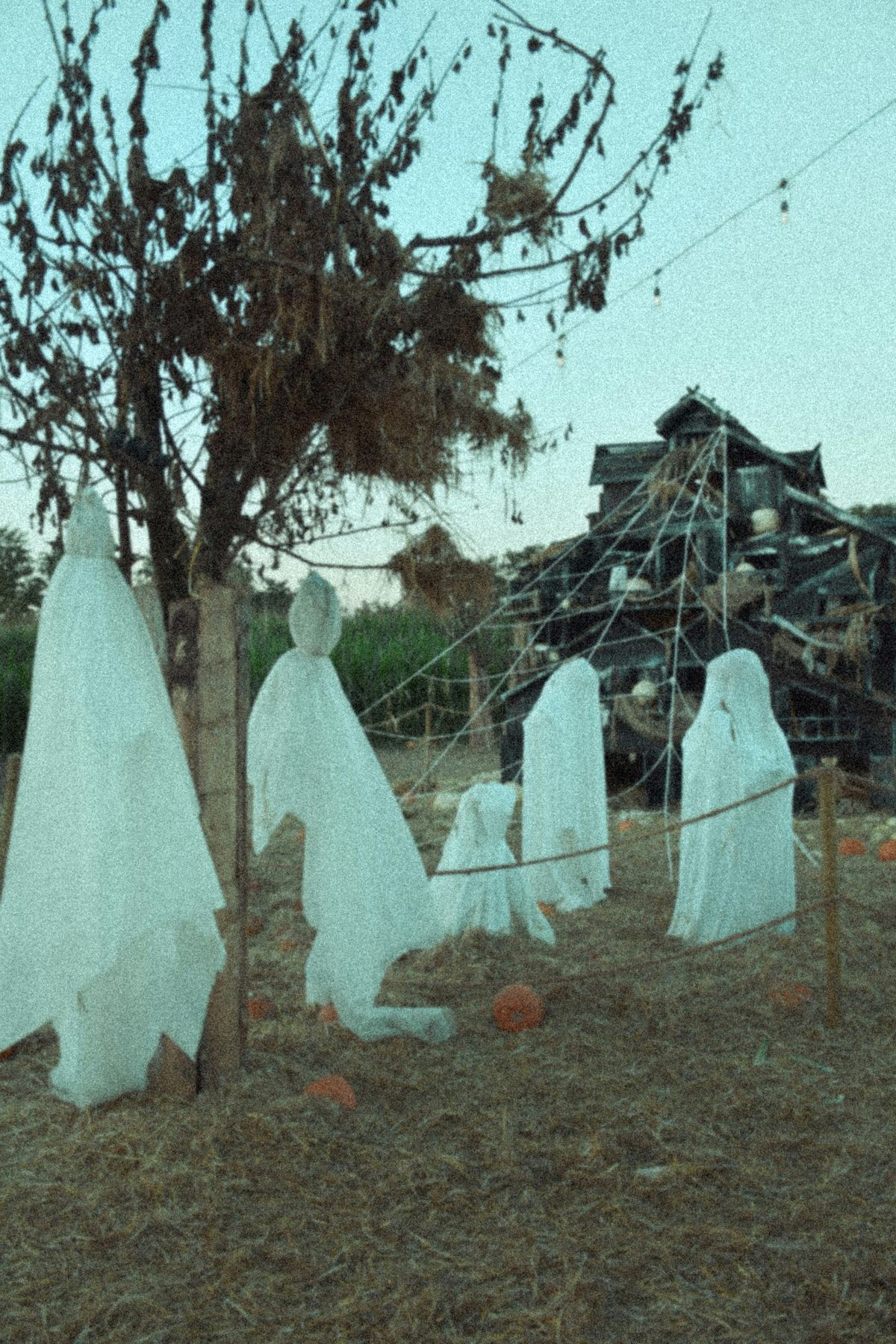 White ghosts and pumpkins in a spooky yard