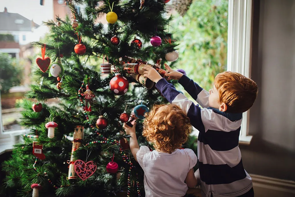 Why we put up a Christmas tree: History & more