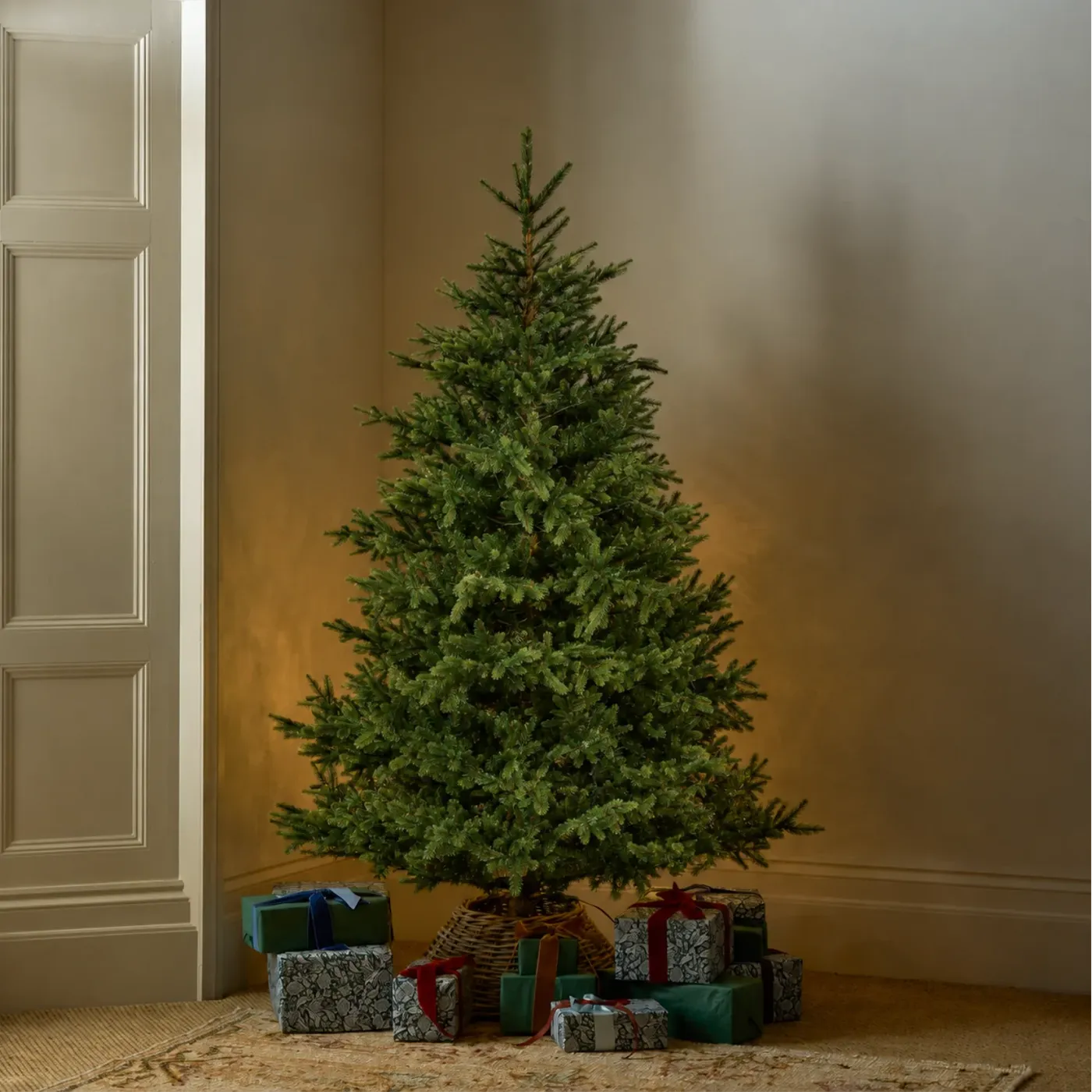Windsor 6ft Nordmann Fir Christmas Tree, No Lights – Neptune