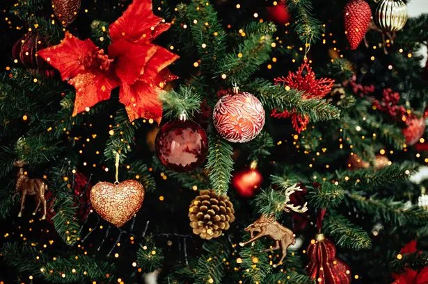 Woman (60s) killed by falling Christmas tree in Belgian market square - Buzz.ie