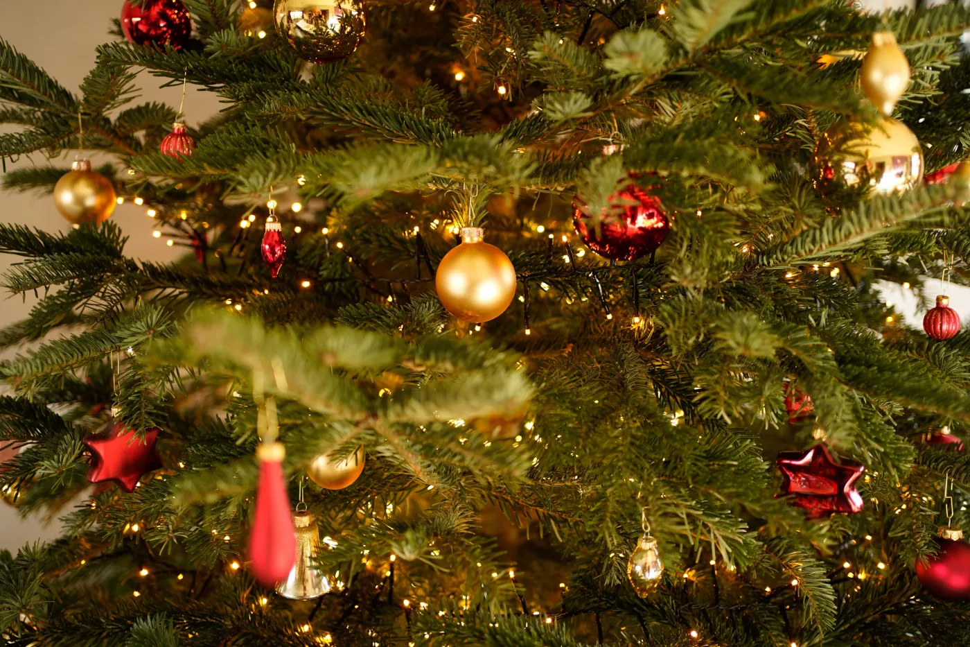 Wondering What to Do With Your Christmas Tree in Lafayette?