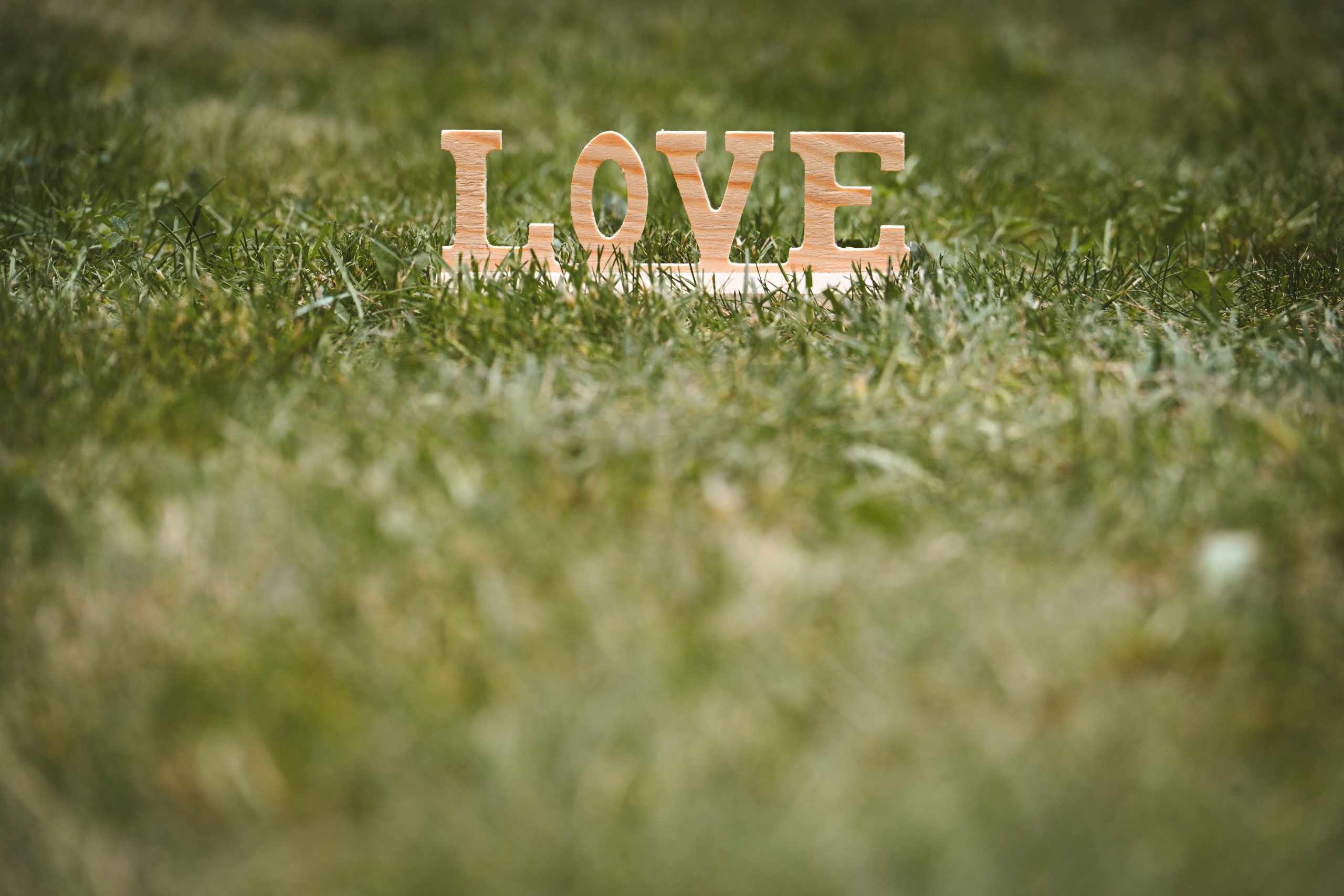 Wooden letters spelling 'LOVE' placed on green grass, symbolizing romance and nature.