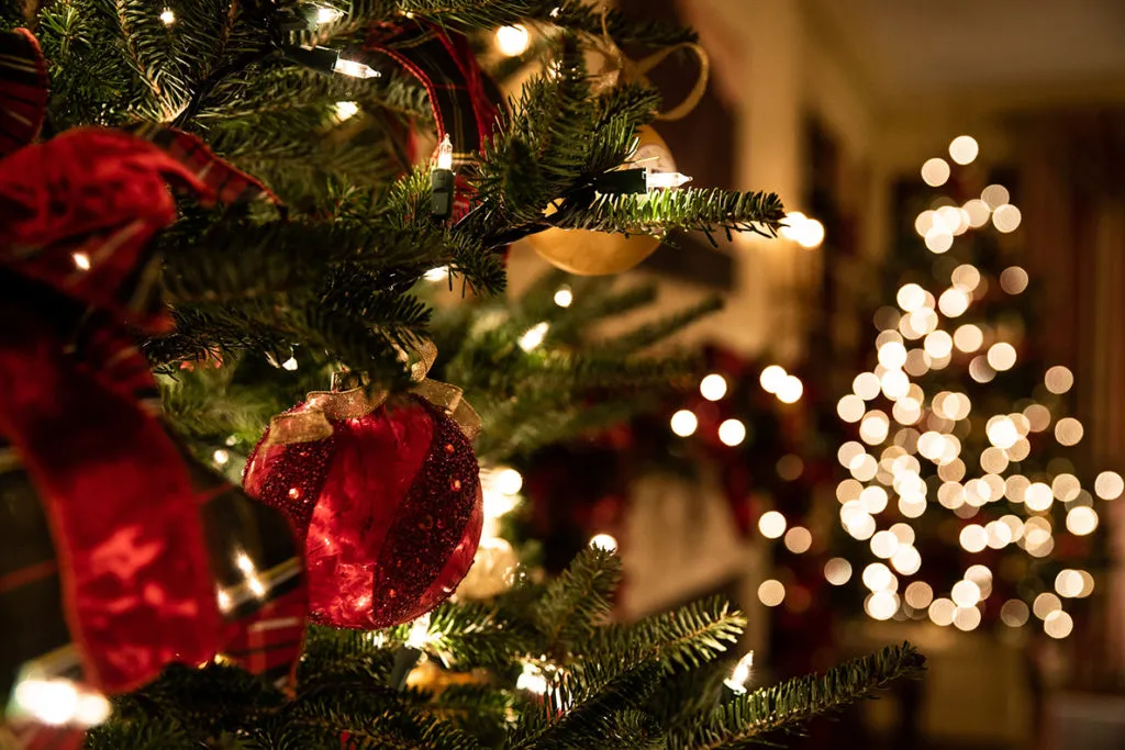 WSU's 'Dr. Christmas Tree' honored with lifetime industry impact award | WSU Insider | Washington State University