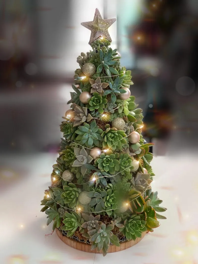 You Can Buy a Succulent Christmas Tree for Your Small Space - Business Insider