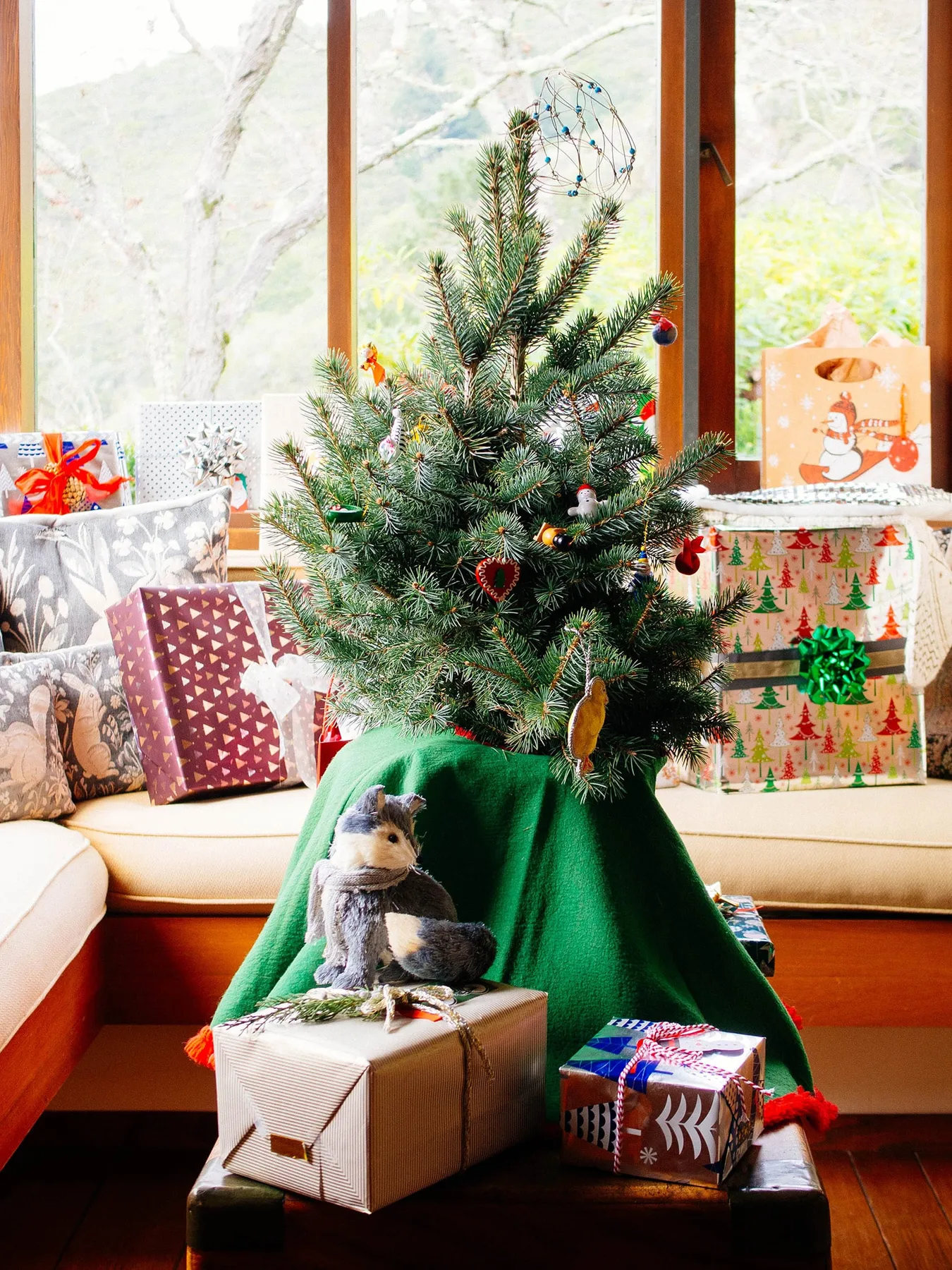 Your Guide to Live Potted Christmas Trees—From Indoor Display to Outdoor  Planting - Garden Betty